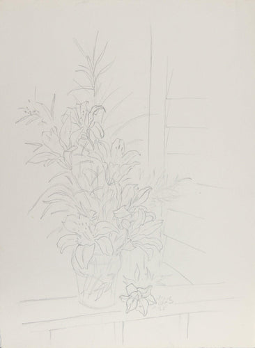 Lilies (45) Pencil | Eve Nethercott,{{product.type}}