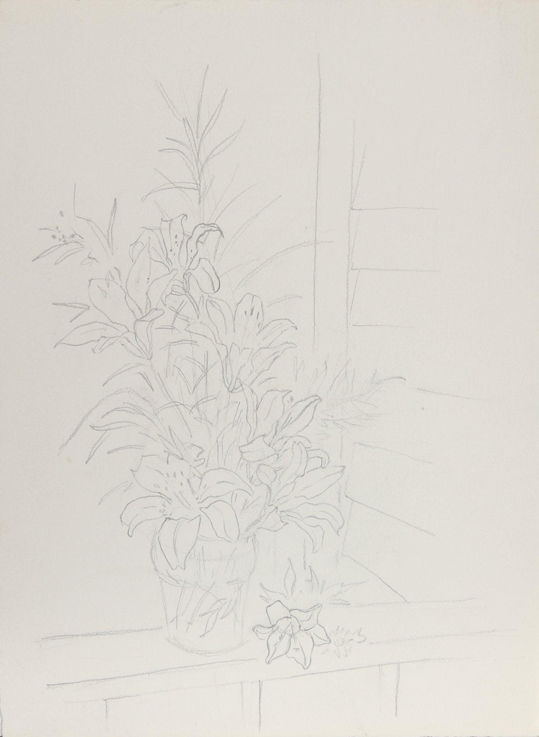 Lilies (45) Pencil | Eve Nethercott,{{product.type}}