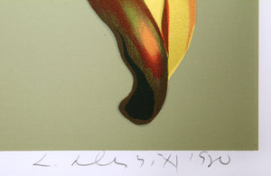 Lilies on Green Screenprint | Lowell Blair Nesbitt,{{product.type}}
