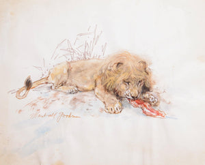 Lion Eating Watercolor | Marshall Goodman,{{product.type}}