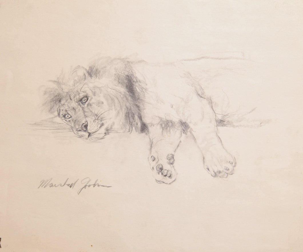 Lion Lying Pencil | Marshall Goodman,{{product.type}}