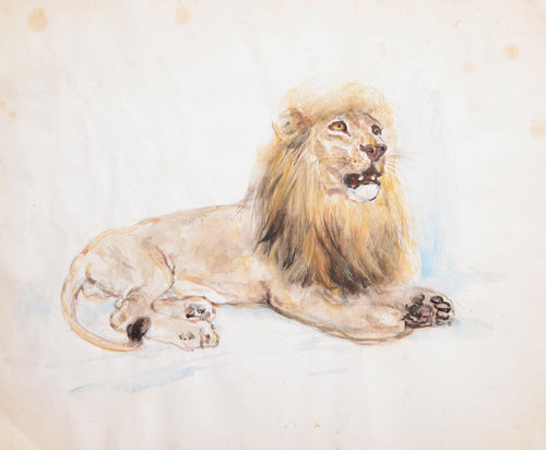 Lion with Mane Watercolor | Marshall Goodman,{{product.type}}