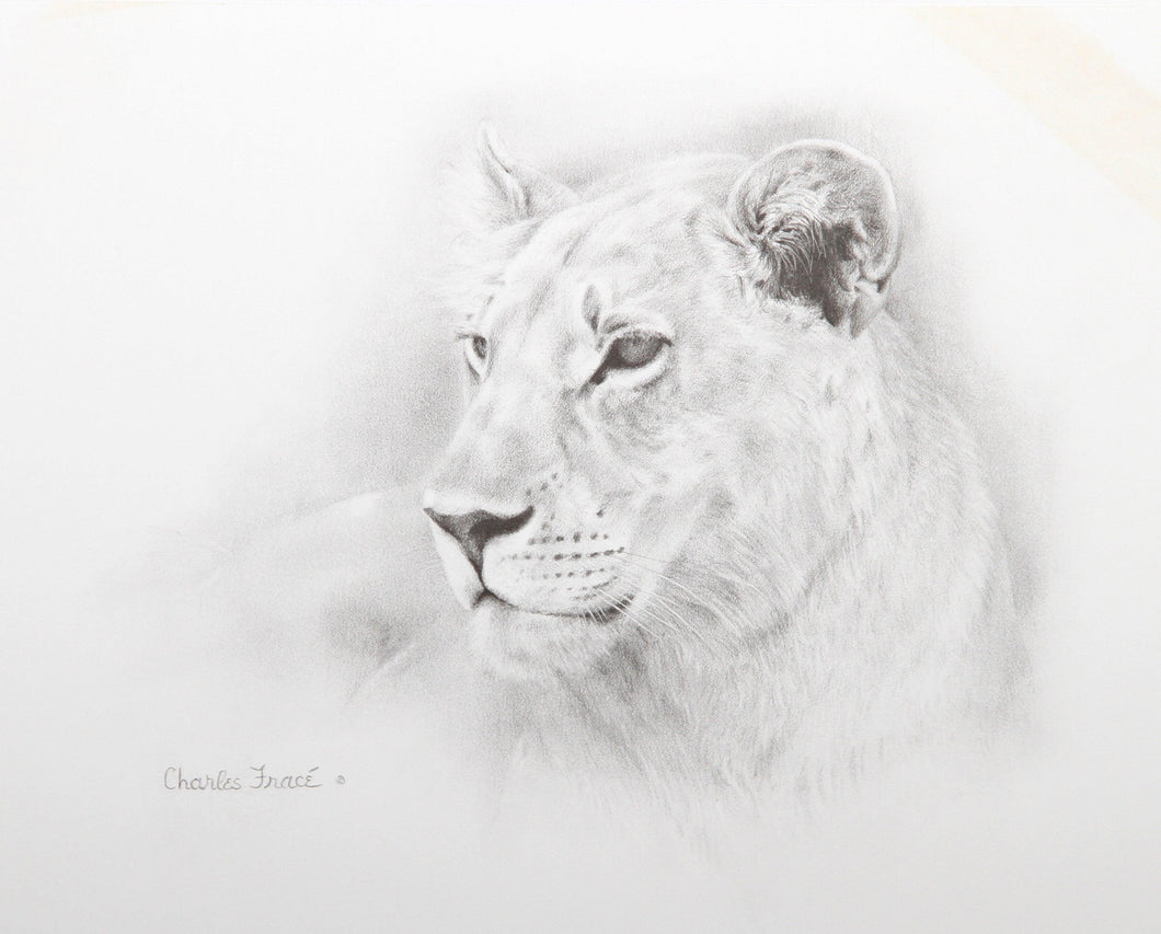 Lioness Lithograph | Charles Fracé,{{product.type}}