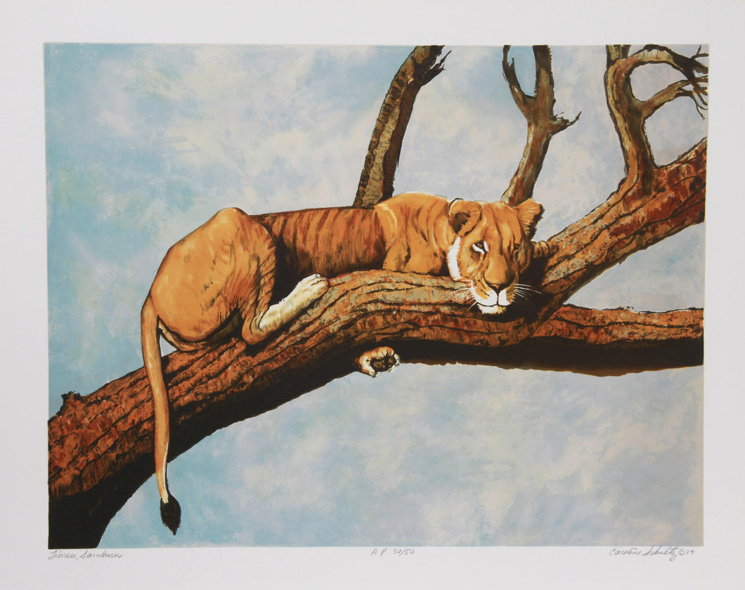 Lioness Sambaru Lithograph | Caroline Schultz,{{product.type}}