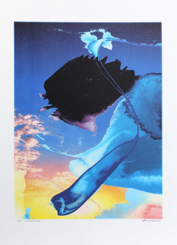 Lite Approval Digital | Michael Knigin,{{product.type}}