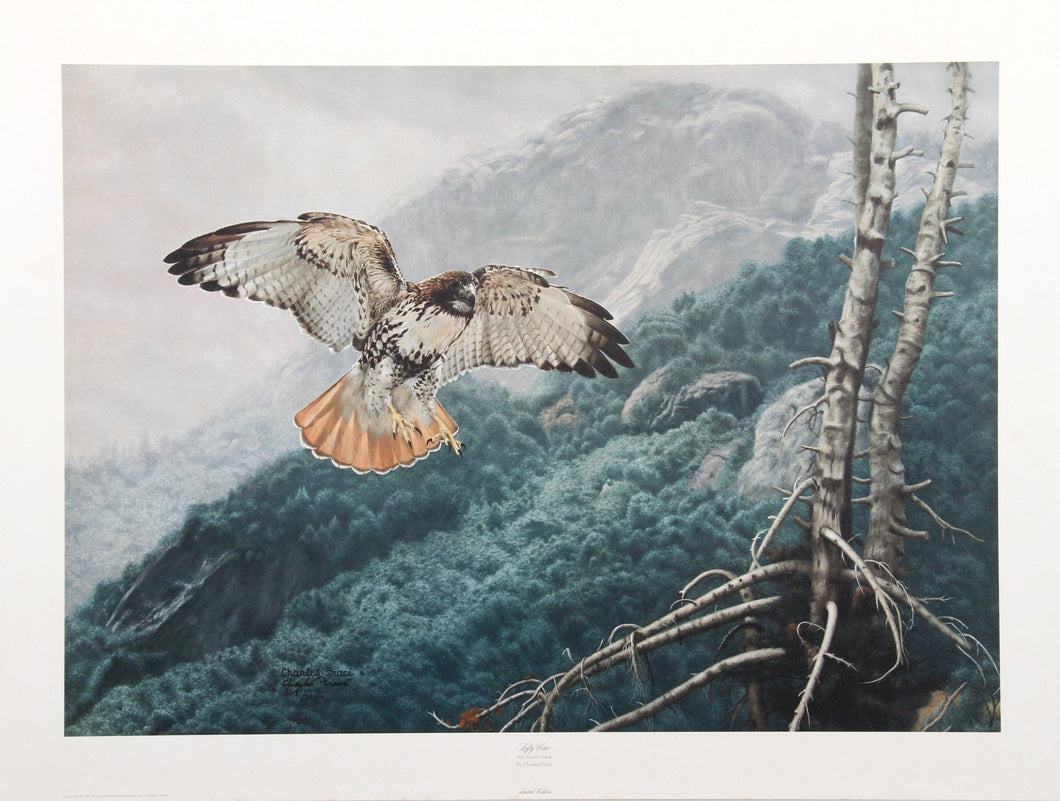 Lofty View Lithograph | Charles Fracé,{{product.type}}