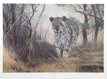 Lone Hunter Lithograph | Charles Fracé,{{product.type}}