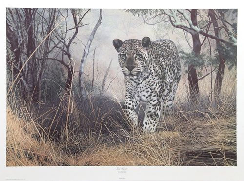 Lone Hunter Lithograph | Charles Fracé,{{product.type}}