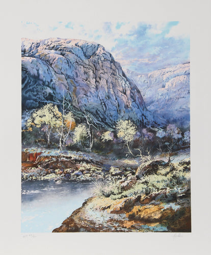 Lonely Flowers Lithograph | Jorge Braun Andres Tarallo,{{product.type}}