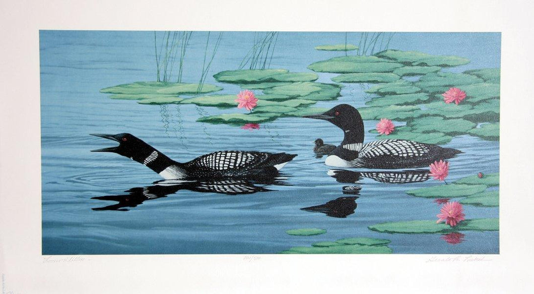 Loons in Lilies Lithograph | Gerald Lubeck,{{product.type}}