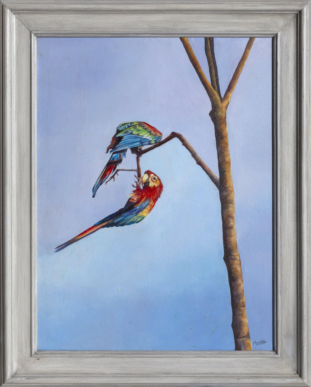 Lovely Birds (Two Scarlet Macaw Parrots) Oil | Cualchi,{{product.type}}