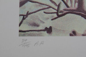 Magnolia IV Lithograph | Jon D'Orazio,{{product.type}}