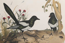 Magpies Lithograph | Jerome Trolliet,{{product.type}}