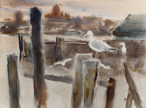 Maine Seagull (38) Watercolor | Eve Nethercott,{{product.type}}