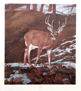 Majesty Lithograph | Charles Fracé,{{product.type}}