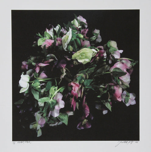 Malibor Nigeon Color | Jonathan Singer,{{product.type}}