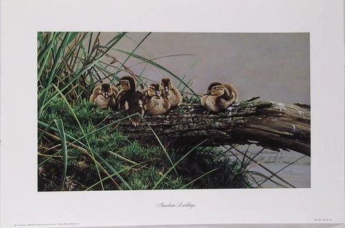 Mandarin Duckings Lithograph | Alan M. Hunt,{{product.type}}