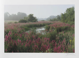Meadow Lithograph | Harvey Edwards,{{product.type}}
