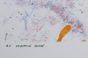 Miracle Zone 2 Digital | Michael Knigin,{{product.type}}