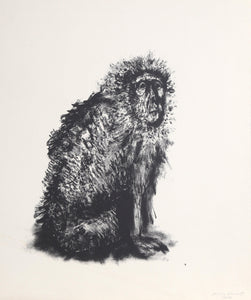 Monkey Lithograph | Aubrey Schwartz,{{product.type}}