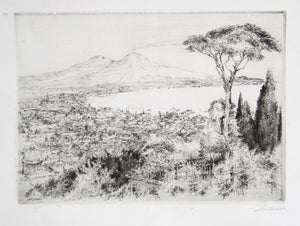 Mount Vesuvius Etching | Paul Geissler,{{product.type}}
