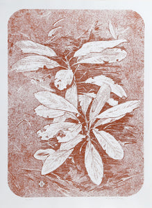 Mountain Laurel No. 1 Lithograph | John Sherrill Houser,{{product.type}}