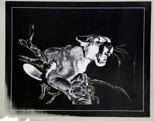 Mountain Lion Poster | Unknown Artist,{{product.type}}