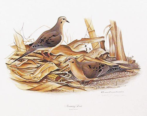 Mourning Doves Poster | Richard Evans Younger,{{product.type}}