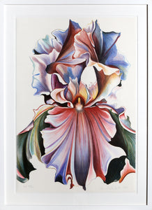 Multicolor Iris screenprint | Lowell Blair Nesbitt,{{product.type}}