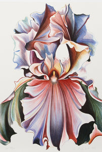Multicolor Iris Screenprint | Lowell Blair Nesbitt,{{product.type}}