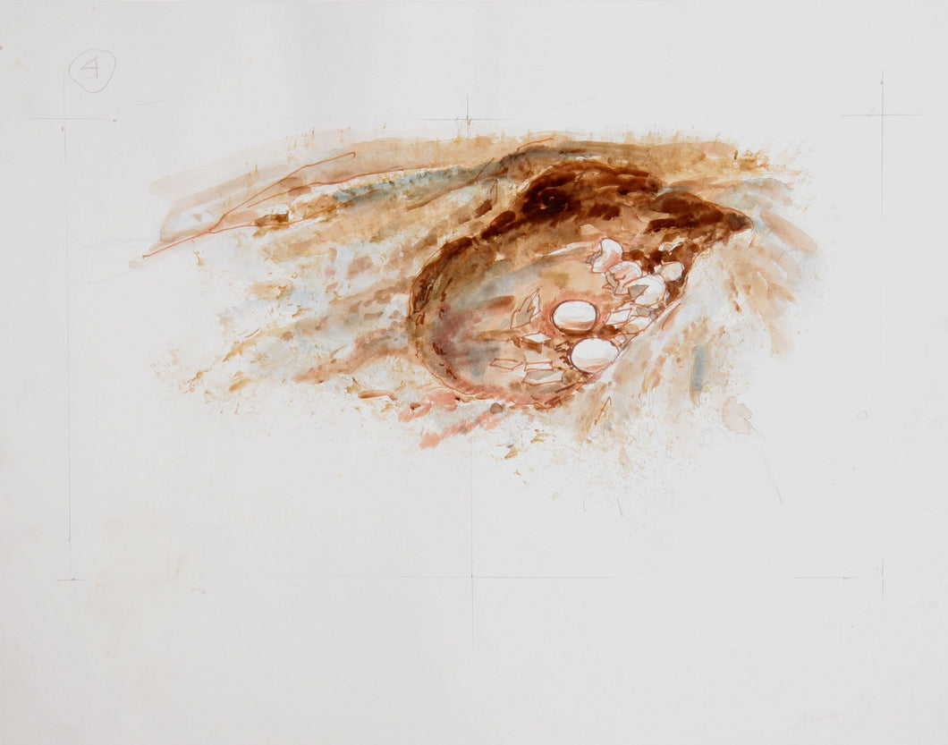 Mushrooms (384) Watercolor | Marshall Goodman,{{product.type}}