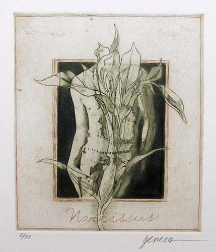 Narcissus from Instructions Etching | Miguel Herrera,{{product.type}}
