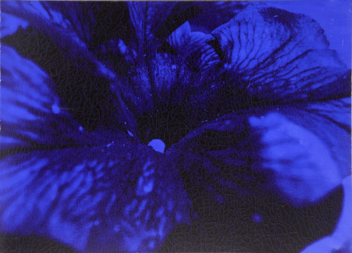 Natasha Blue Oil | Ruperto Cabrera,{{product.type}}