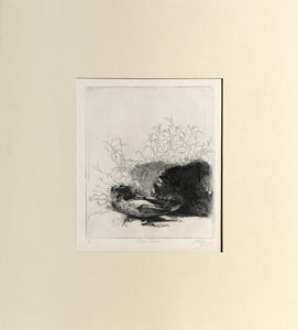 Nature Morte Etching | Sheldon 'Shelly' Fink,{{product.type}}