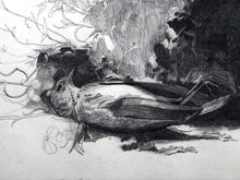 Nature Morte Etching | Sheldon 'Shelly' Fink,{{product.type}}