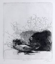Nature Morte Etching | Sheldon 'Shelly' Fink,{{product.type}}