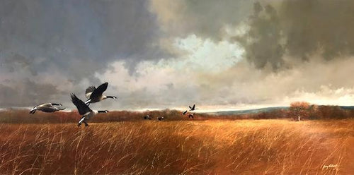 Nesting Site Oil | Gerald Lubeck,{{product.type}}