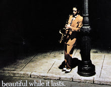 New York, New York poster | United Artists,{{product.type}}