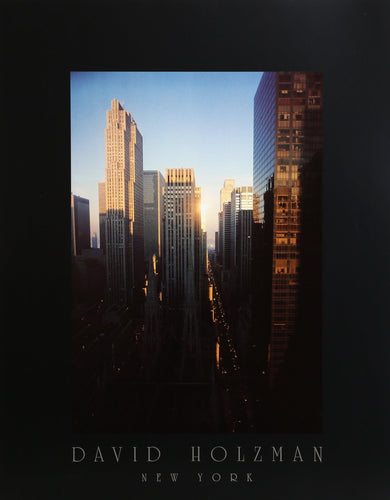 New York Poster | David Holzman,{{product.type}}