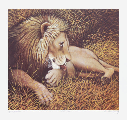 Ngorongoro Lion Lithograph | Caroline Schultz,{{product.type}}