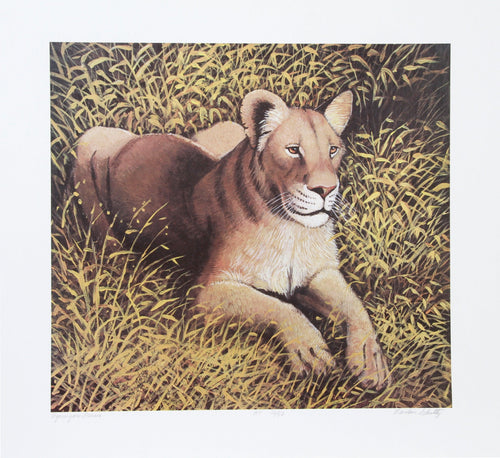 Ngorongoro Lioness Lithograph | Caroline Schultz,{{product.type}}