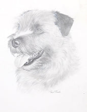 Norfolk Terrier Pencil | Rex Flood,{{product.type}}