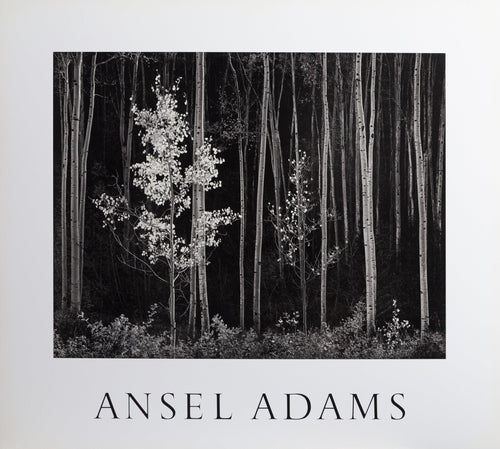 Northern New Mexico Poster | Ansel Adams,{{product.type}}