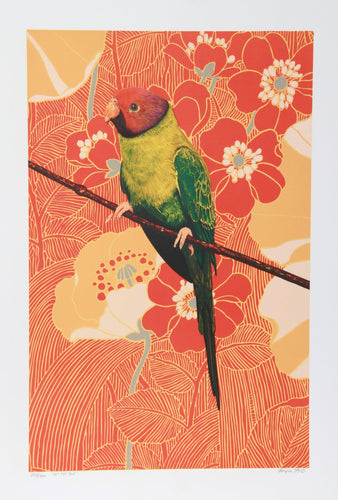 Not Me Boy Screenprint | Michael Knigin,{{product.type}}