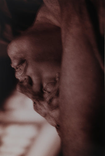 Nude 7 Color | Polina Sirosh,{{product.type}}