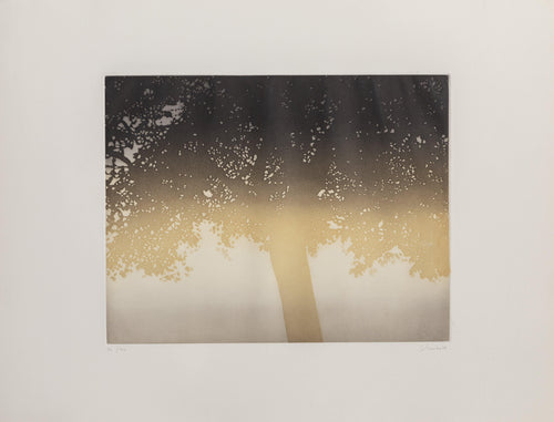 Oak Tree from Le Coeur Memorable etching | Jean Solombre,{{product.type}}