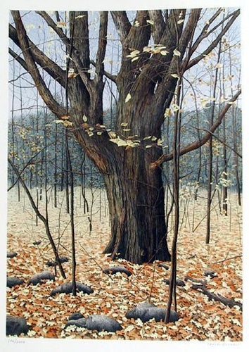 Old Oak Lithograph | Helen Rundell,{{product.type}}