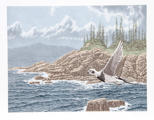 Old Squaw Lithograph | Chris Forrest,{{product.type}}