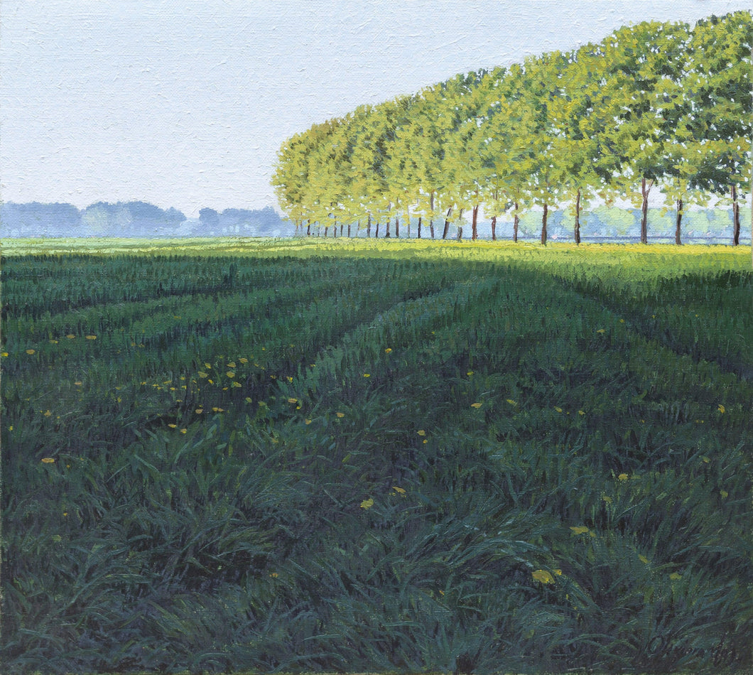Ombre Lunghe in Risaia (Long Shadows in Paddy Field) Oil | Oliviero Masi,{{product.type}}