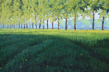 Ombre Lunghe in Risaia (Long Shadows in Paddy Field) Oil | Oliviero Masi,{{product.type}}